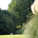 Chalet Cosy 4pers Rivière Animaux 25min Du Mans