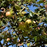 Cosy 4pers Rivière Animaux 25min Du Mans *