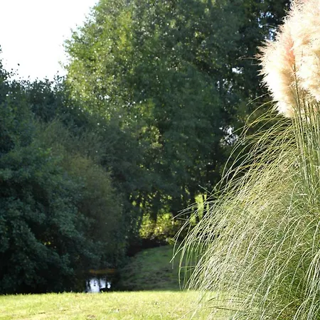 Chalet Cosy 4pers Riviere Animaux 25min Du Mans